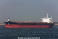 Q Sue (MM-070614-1).jpg