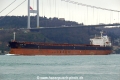 Silver One (OK-300114-1).jpg