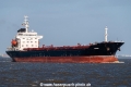 Pride SH-190319-01.jpg