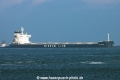 Sakizaya Zest TL-041022-1.jpg
