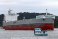 Archigetis RV-280312-04.jpg