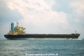 Star Flower (OS-FN401-02).jpg