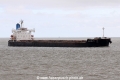 Bulk Brasil JG-260415-01.jpg