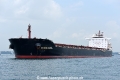 Black Pearl OS-281016-05.jpg