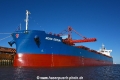 Nord Gemini 081017-05.jpg