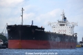 Capricorn Trader OS-080716-14.jpg