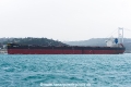 Golden Arcus (OK-260918-1).jpg