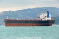 Golden Lyderhorn (OK-290114-3).jpg
