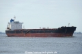 Patricia V (KK-100420-1).jpg