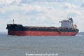 Golden Fast JG-310822-1.jpg