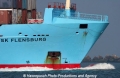 Maersk Flensburg Bug 81005-11-MS.jpg