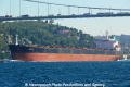 Myrmidon (OK-260913-1).jpg