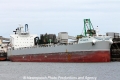 Archigetis RV-290312-02.jpg