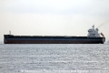 Pabal (MS-171012-03).jpg