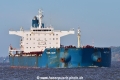 Marine Bright (KB-D201022-01).jpg