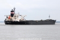 Amazing Salute JG-140914-04.jpg