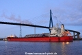 Panther Max (KB-D290918-03).jpg