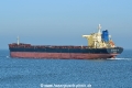 Horizon 2 HK-160219.jpg