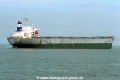 Hsin Ho OS-FN799-2.jpg