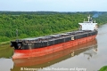 Ikan Bayan JB-170611-07.jpg