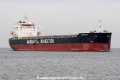 Loxandra JG-261014-01.jpg