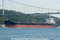 Nestor (OK-300913-2).jpg