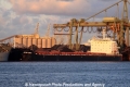 Super Grace (JS-110114-01).jpg