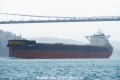 Golden Arcus (OK-260918-0).jpg