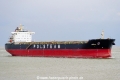 Ornak SH-300921-01.jpg