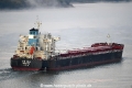 Xin Hua 031116-02.jpg