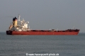 Goya JG-011014-05.jpg