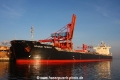 Orange Trident (SW-210311-24).jpg