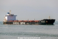 Shandong Hai Yao SH-120317-01.jpg