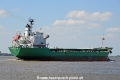 Arklow Willow 230714-02.jpg