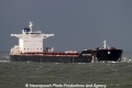 Bulk Canada SH-021212-01.jpg
