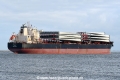 LV Star JG-290125-4.jpg