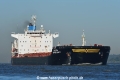 Golden Opportunity (KB-D180918-01).jpg