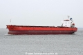 Star of Sawara JG-150817-01.jpg