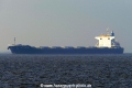 Bulk Sweden (KK-220116-1).jpg