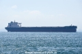 Pacific Flourish OS-031019-01.jpg