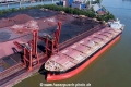 XYG Fortune (MM-090520-1).jpg