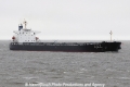 Tian Tong Feng JG-120312-02.jpg