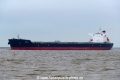 Gotia (KK-231218-1).jpg