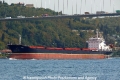 Ata (OK-300913-1).jpg