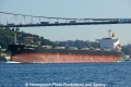 Ince Anadolu (OK-280913-2).jpg