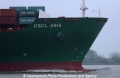 CSCL Asia Bug 181004.jpg