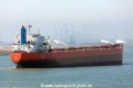 Star of Nippon (MM-250312-2).jpg