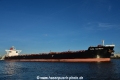 Cape Harmony (KB-D131120-02).jpg