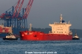 Prime Lily (KB-D220716-01).jpg