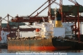Crest Voyager (KB-D150112-01).jpg